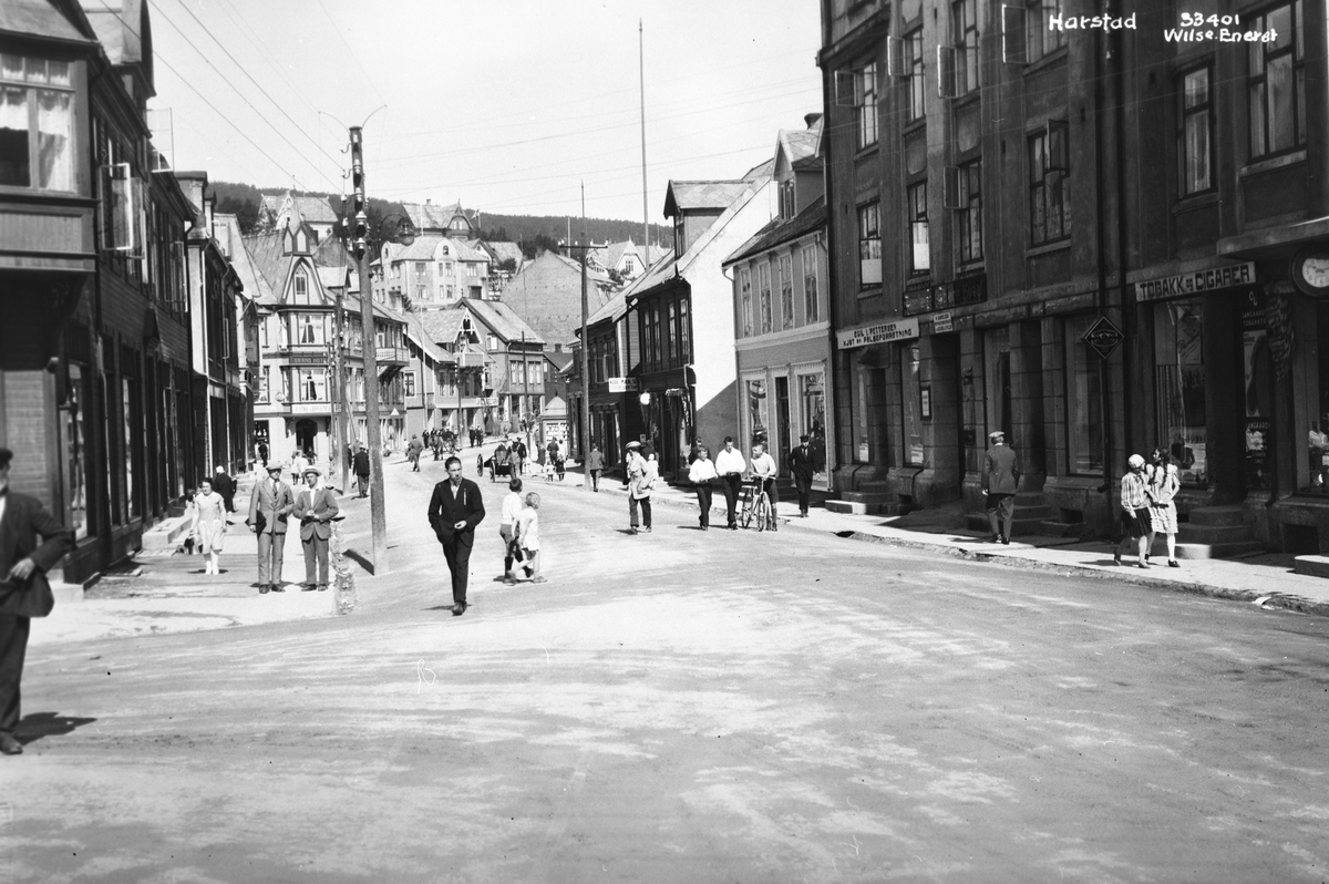 Anders Beer Wilse, Prot: Nordland - Harstad (feil i protokoll)