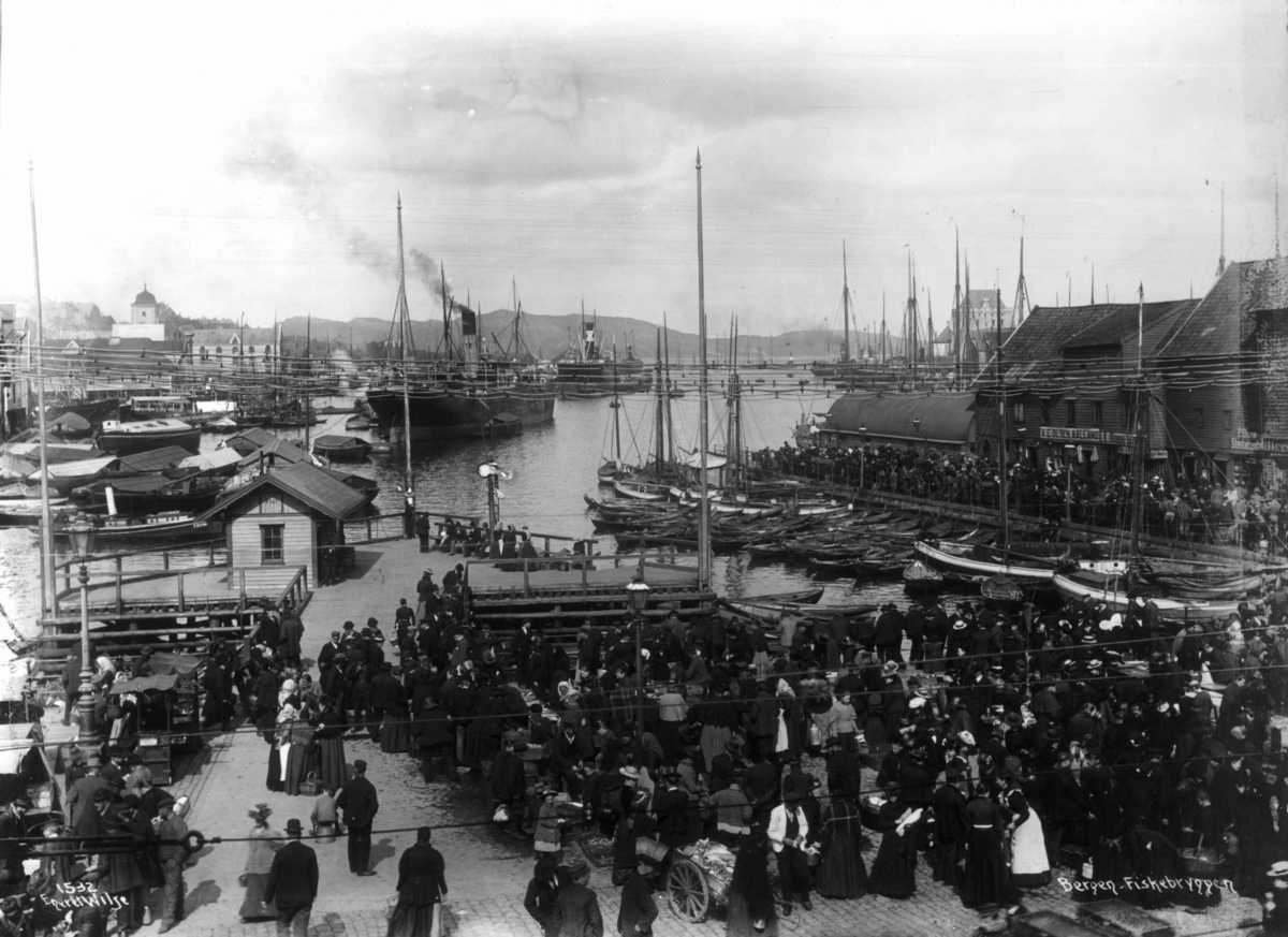 Anders Beer Wilse, Topografi, Fiskebryggen