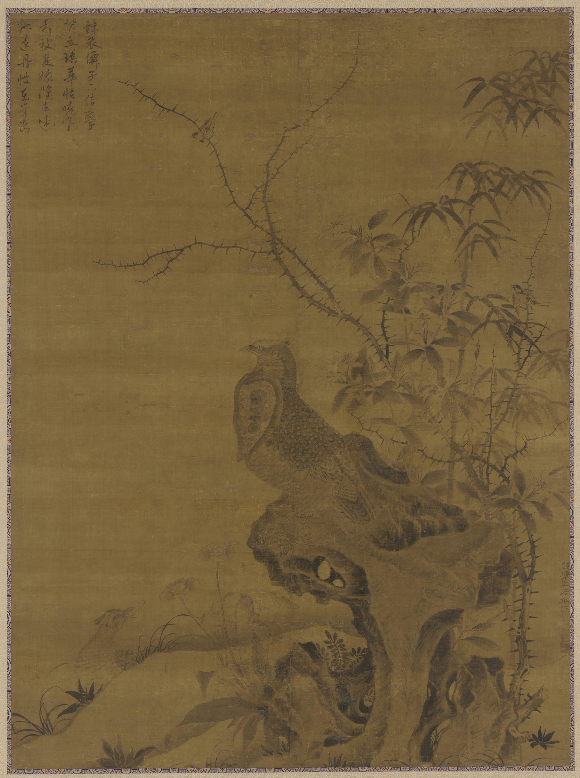 Wang Yuan, Pheasants