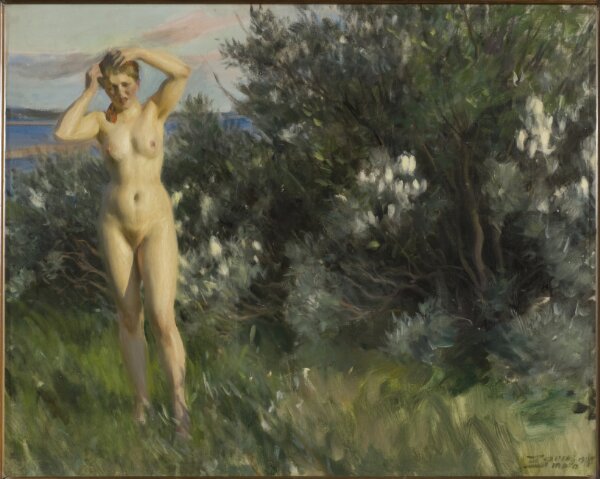 Anders Zorn, Vid Siljan