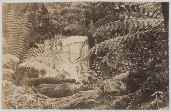 unknown, Photograph