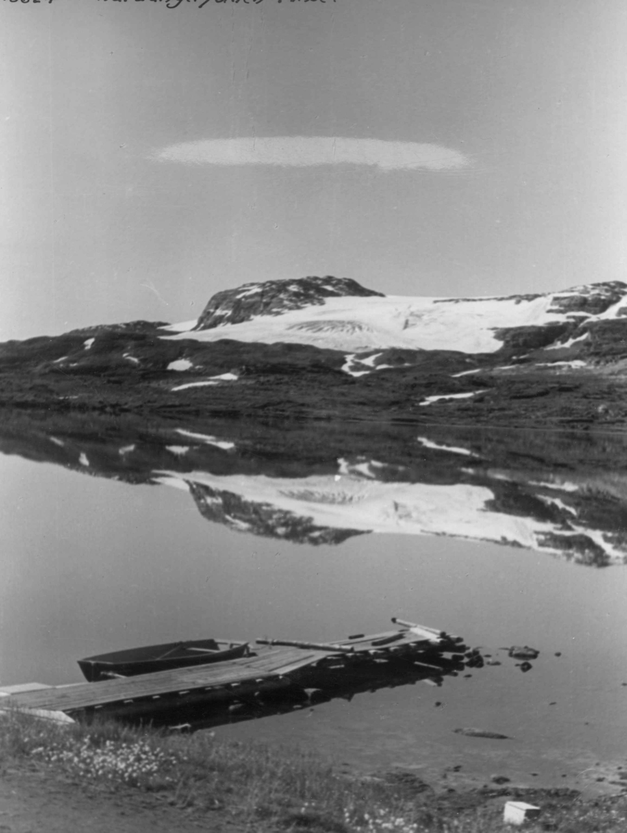 Anders Beer Wilse, Wilse original, Landskap, Hardangerjokulen, Finsevatnet