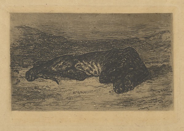 Eugène Delacroix, Tiger Lying in the Desert