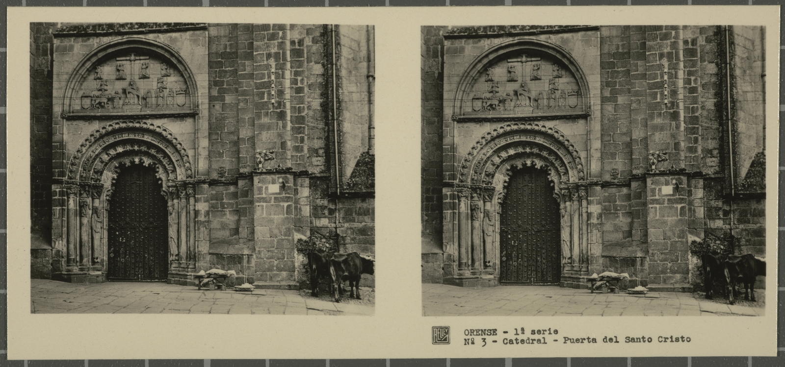 Desconegut, Ourse