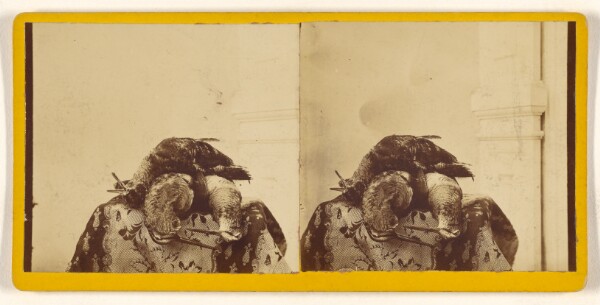 Unknown, [Still life of fowl]