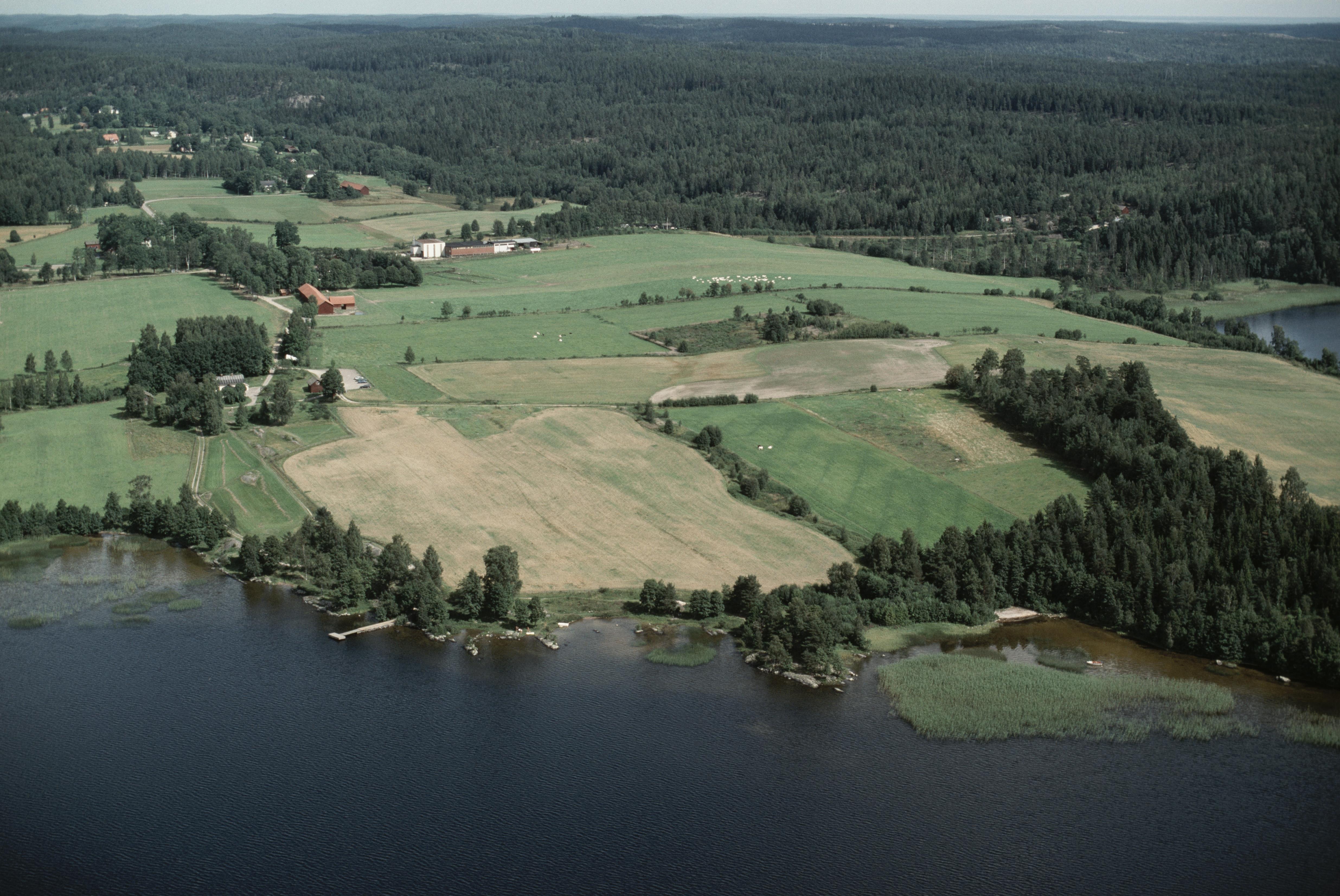 Jan Norrman, Tisselskog 11:1