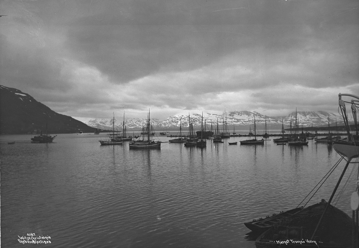Anders Beer Wilse, Prot: Tromsø Midnat på havnen 30/6