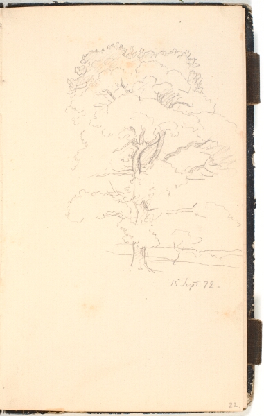 P.C. Skovgaard, Et stort træ, muligvis eg