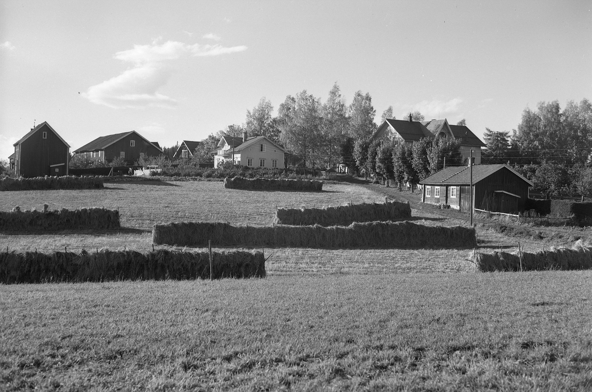 Anno Domkirkeodden, EKSTR: GARDSTUN, BALKE, LØTEN. Se Løtenboka, bind 1. Bygdeboka fra 1949, side 134
