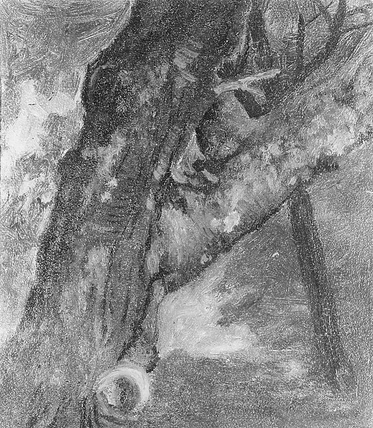 Albert Bierstadt, Study of a Tree