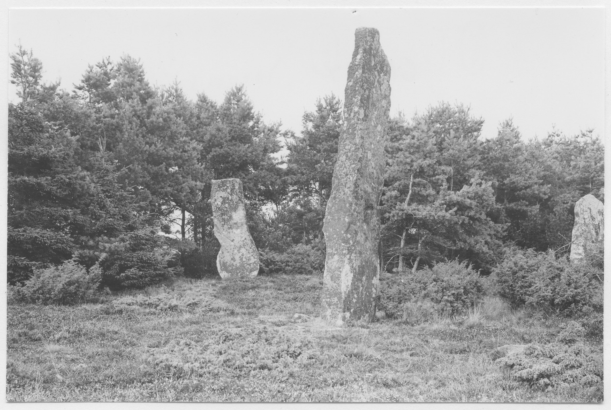 Mårten Sjöbeck, Greby