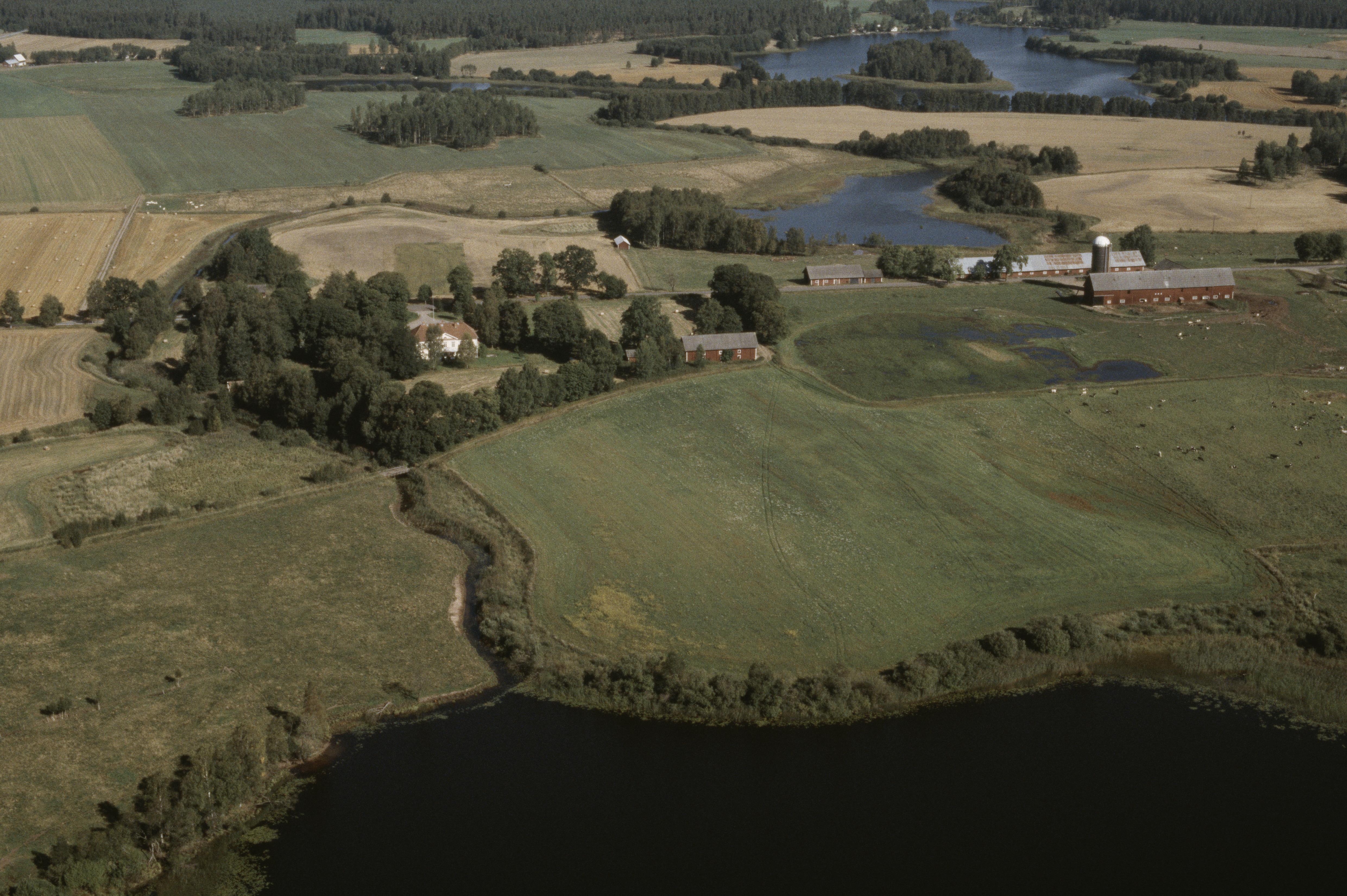 Jan Norrman, Ryningsholm
