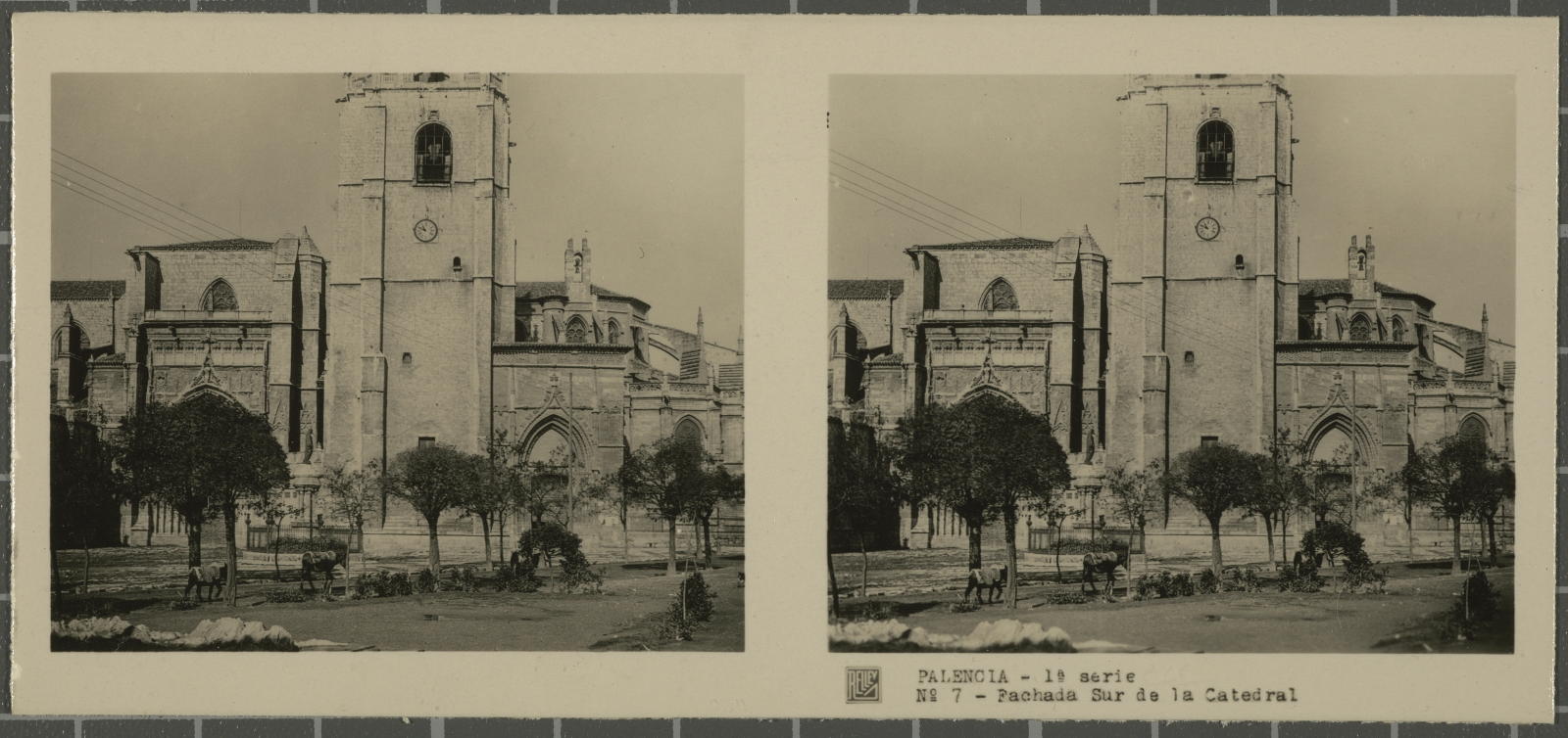 Desconegut, Palencia