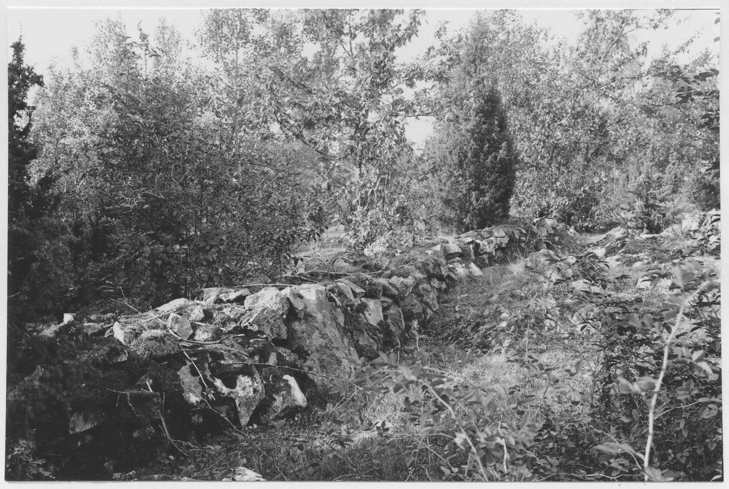 Mårten Sjöbeck, Odensvi, ödelagd torpbebyggelse