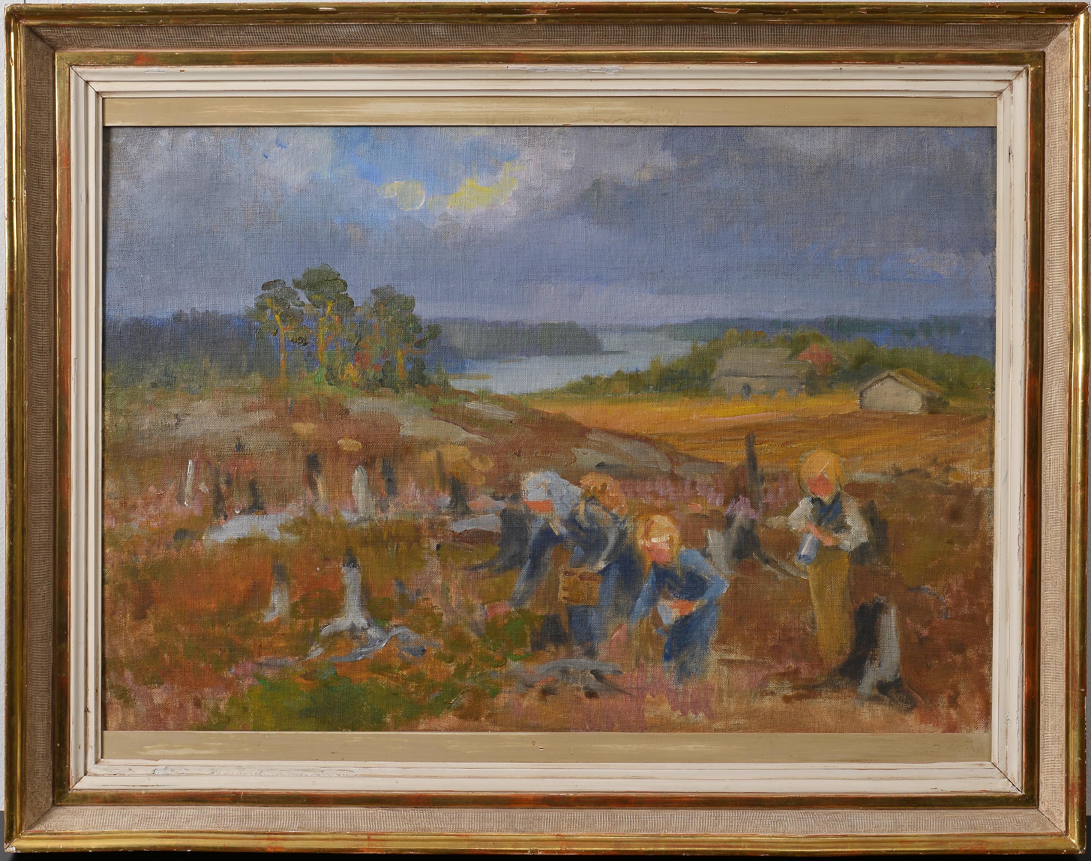 Venny Soldan-Brofeldt, Kaskimaa, luonnos
