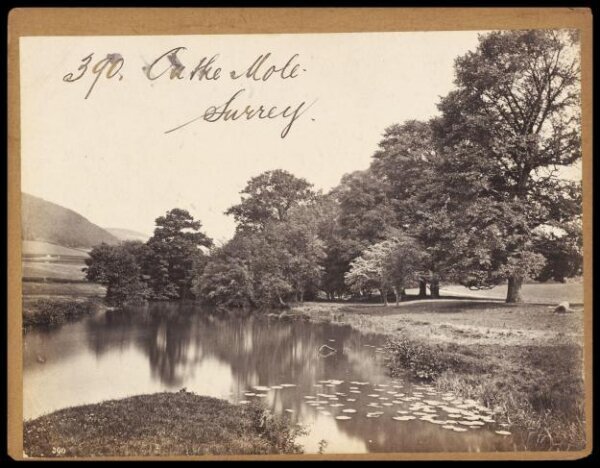 Francis Frith, On the Mole.  Surrey