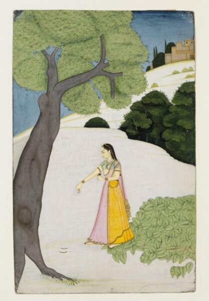 Unknown, Vipralabdha Nayika