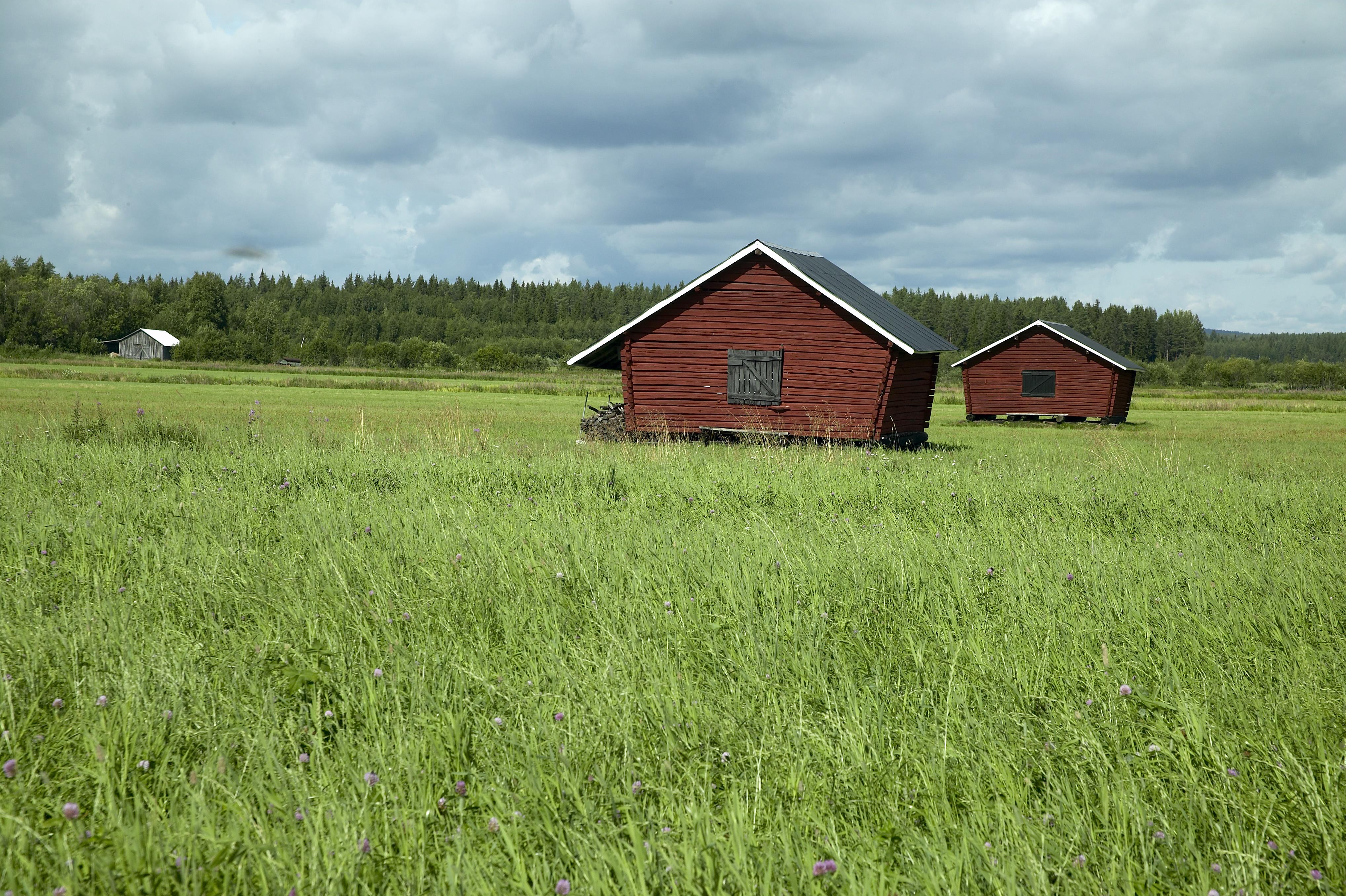 Bengt A Lundberg, Långnäs