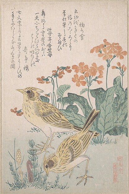 Kubo Shunman, Skylarks and Primroses,” from the Series An Array of Birds (Tori awase), from Spring Rain Surimono Album (Harusame surimono-jō, vol. 3)