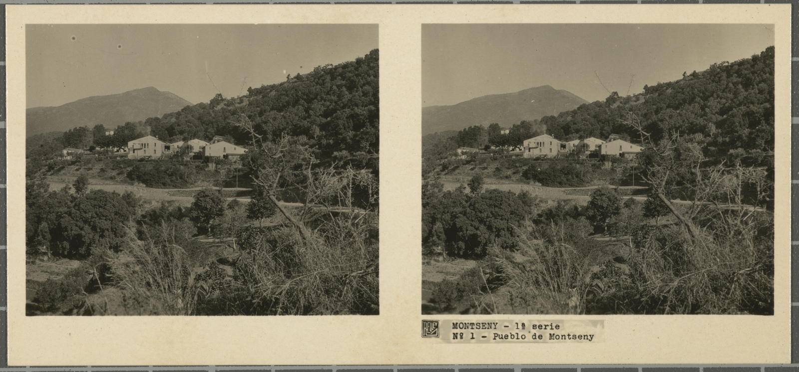 Desconegut, Montseny (Barcelona-Gerona)