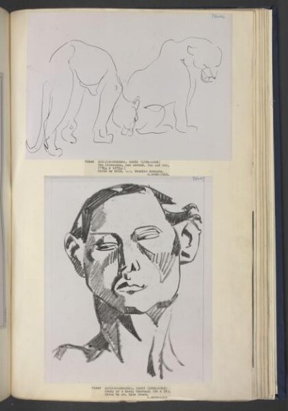 Henri Gaudier-Brzeska, Drawing