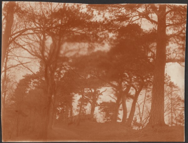 Unknown, [Landscape with Trees]