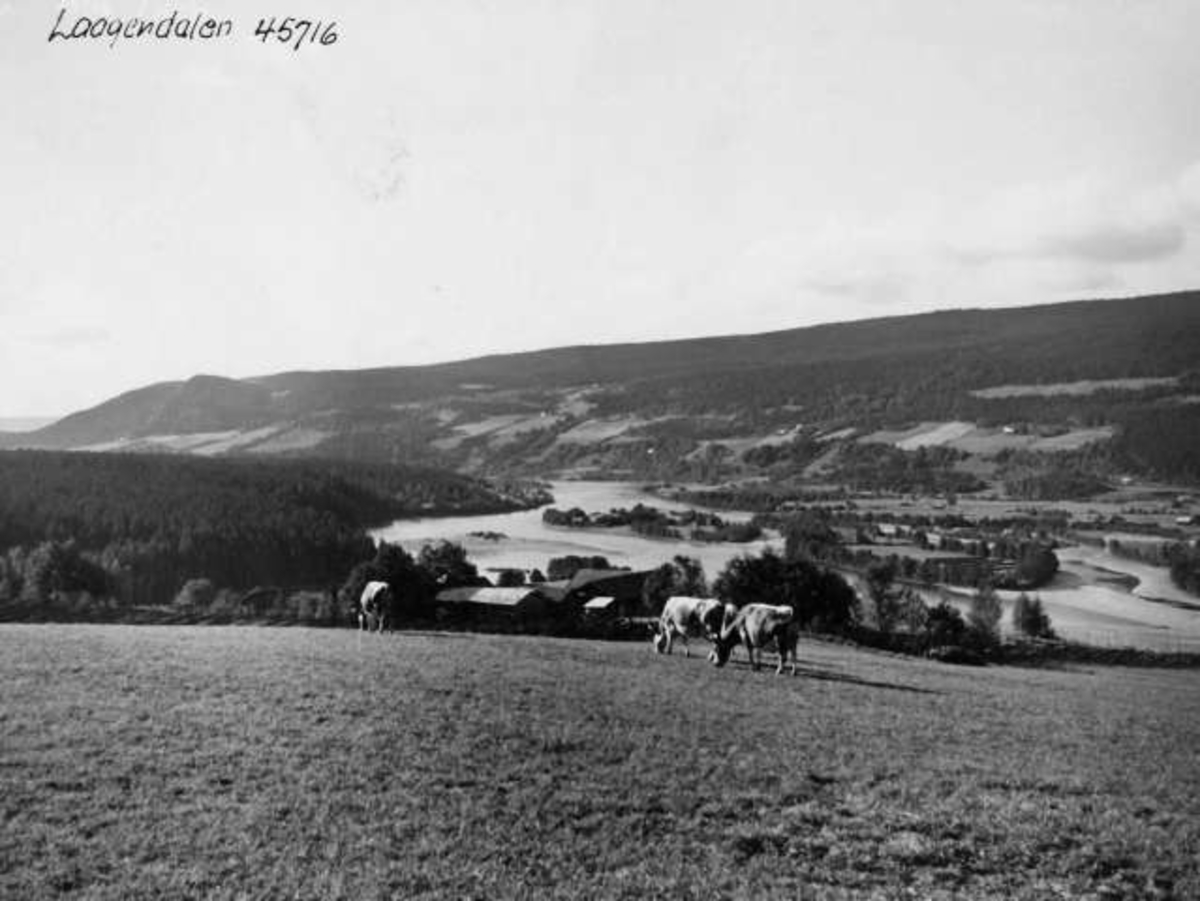 Anders Beer Wilse, -7915