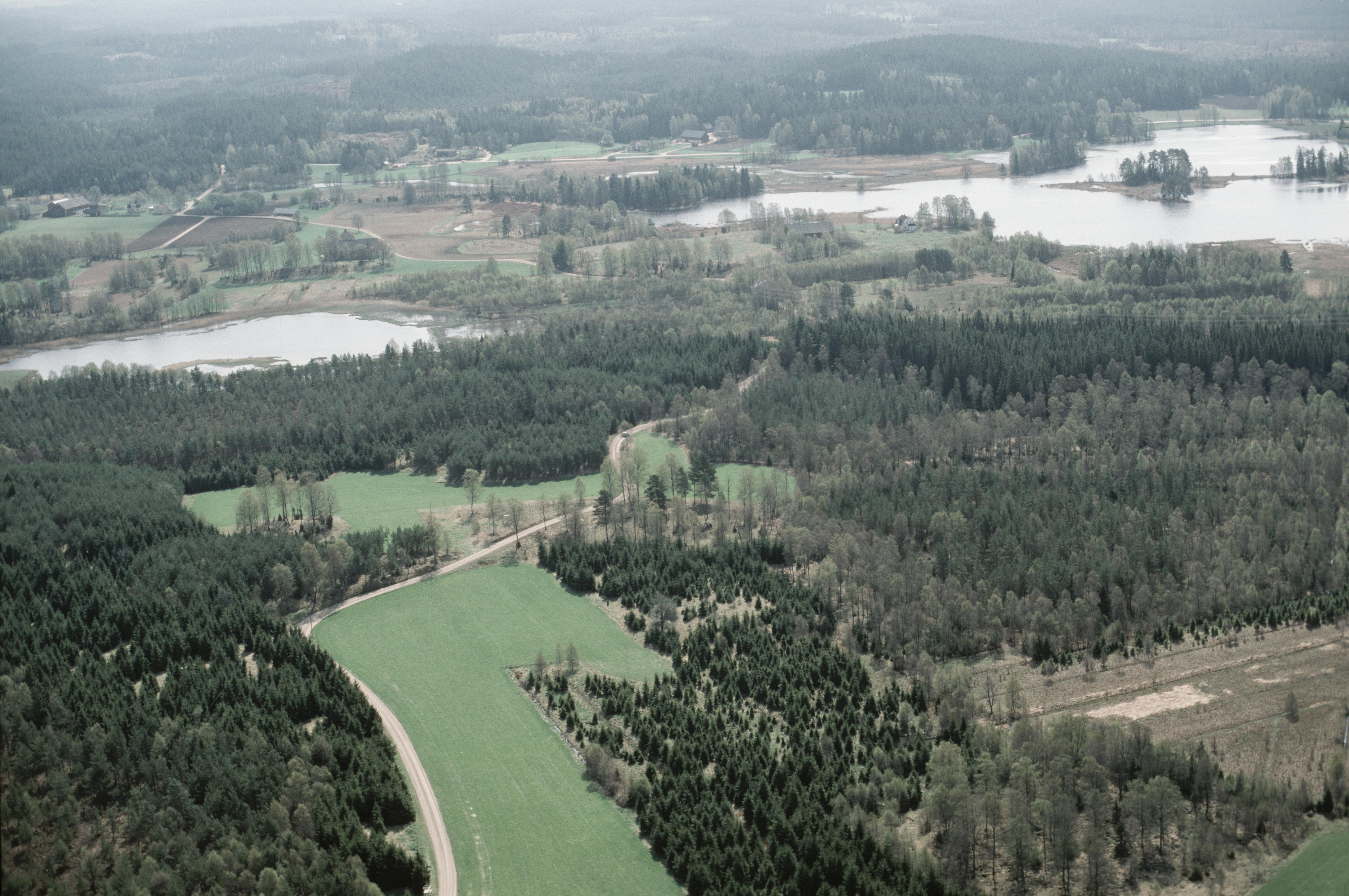 Jan Norrman, Tranemo 339:1