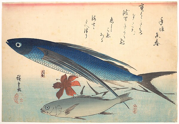 Utagawa Hiroshige, Tobiuo and Ishimochi Fish, from the series Uozukushi (Every Variety of Fish)