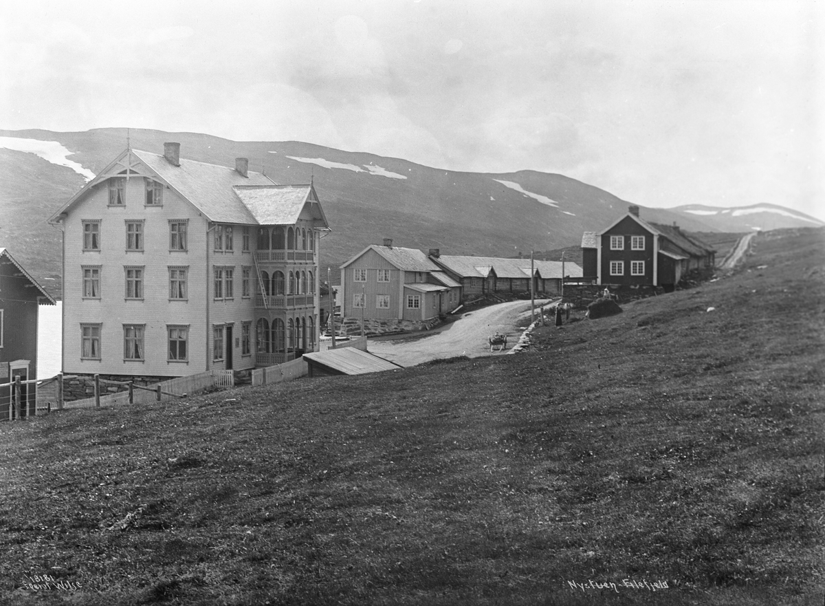 Anders Beer Wilse, Prot: Nystuen Valdres