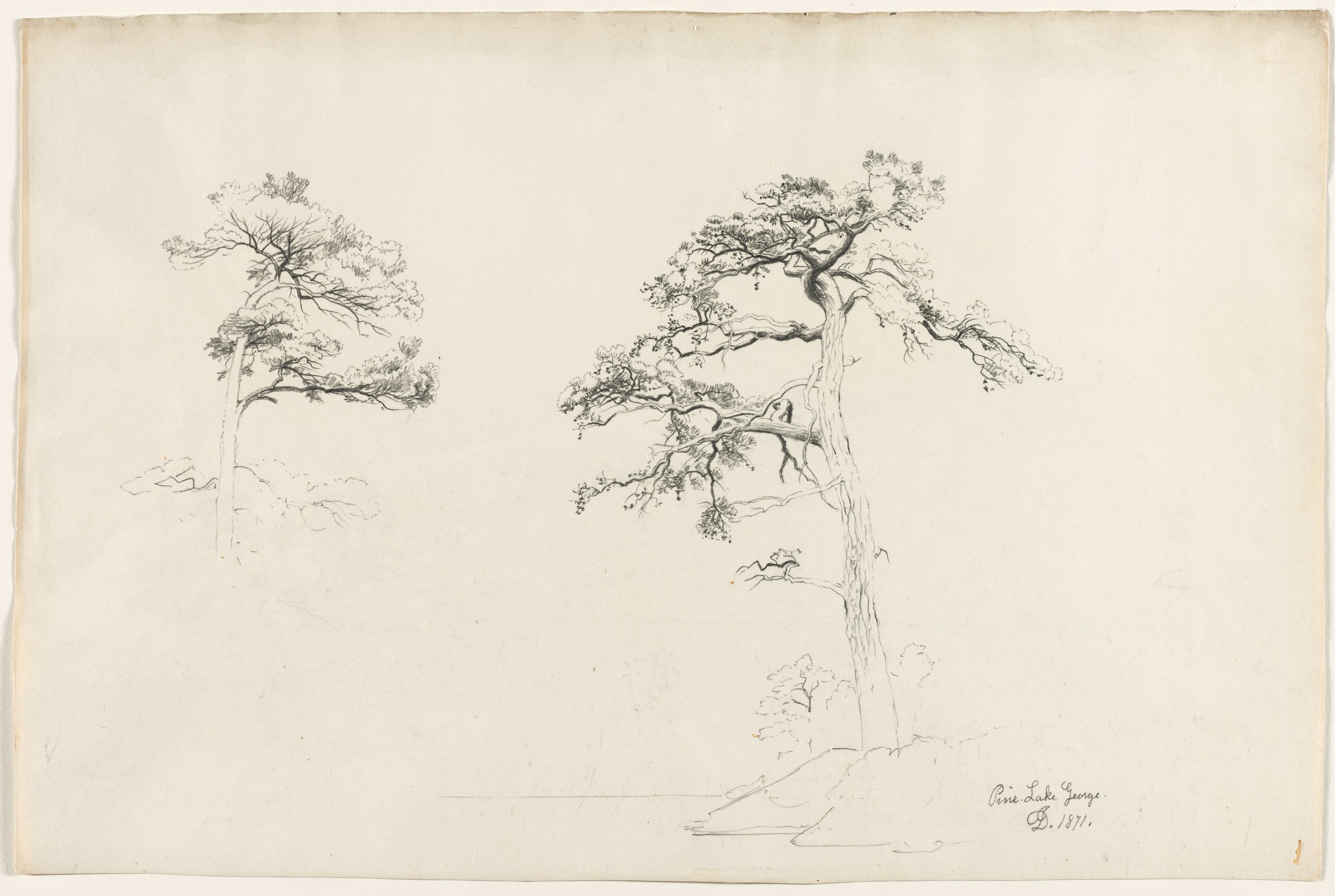 David Johnson, Pine, Lake George