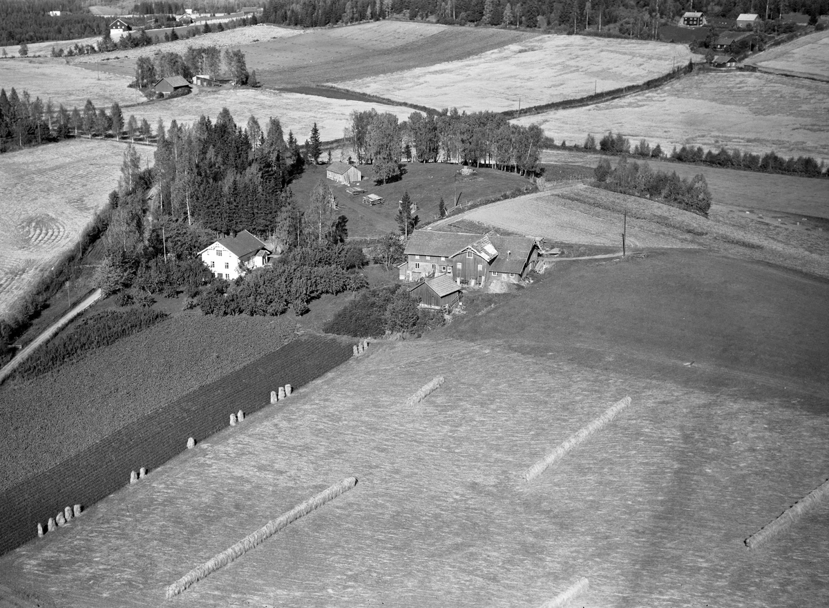 Anno Domkirkeodden, Flyfoto av ukjent gard, Nes, Hedmark.