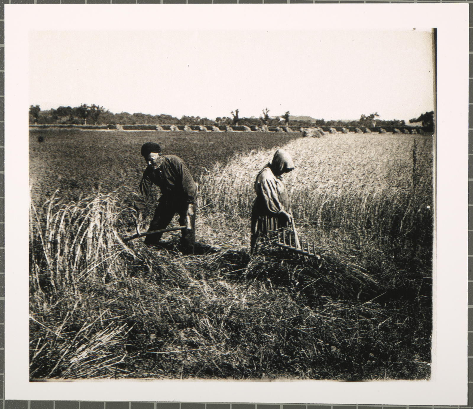 Desconegut, [Farmers mowing Santa Llogaia]