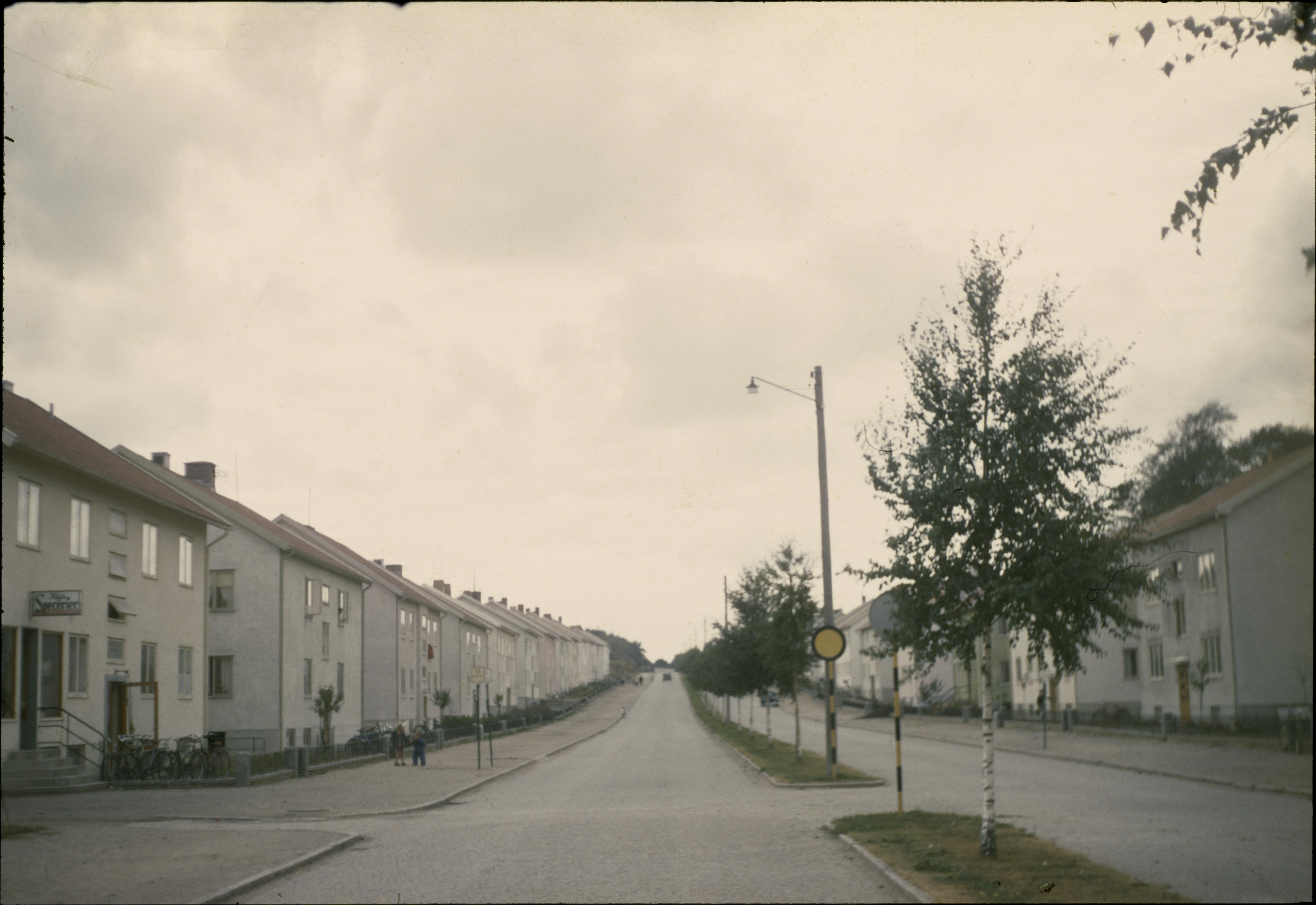 Fredrik Bruno, Uddevalla