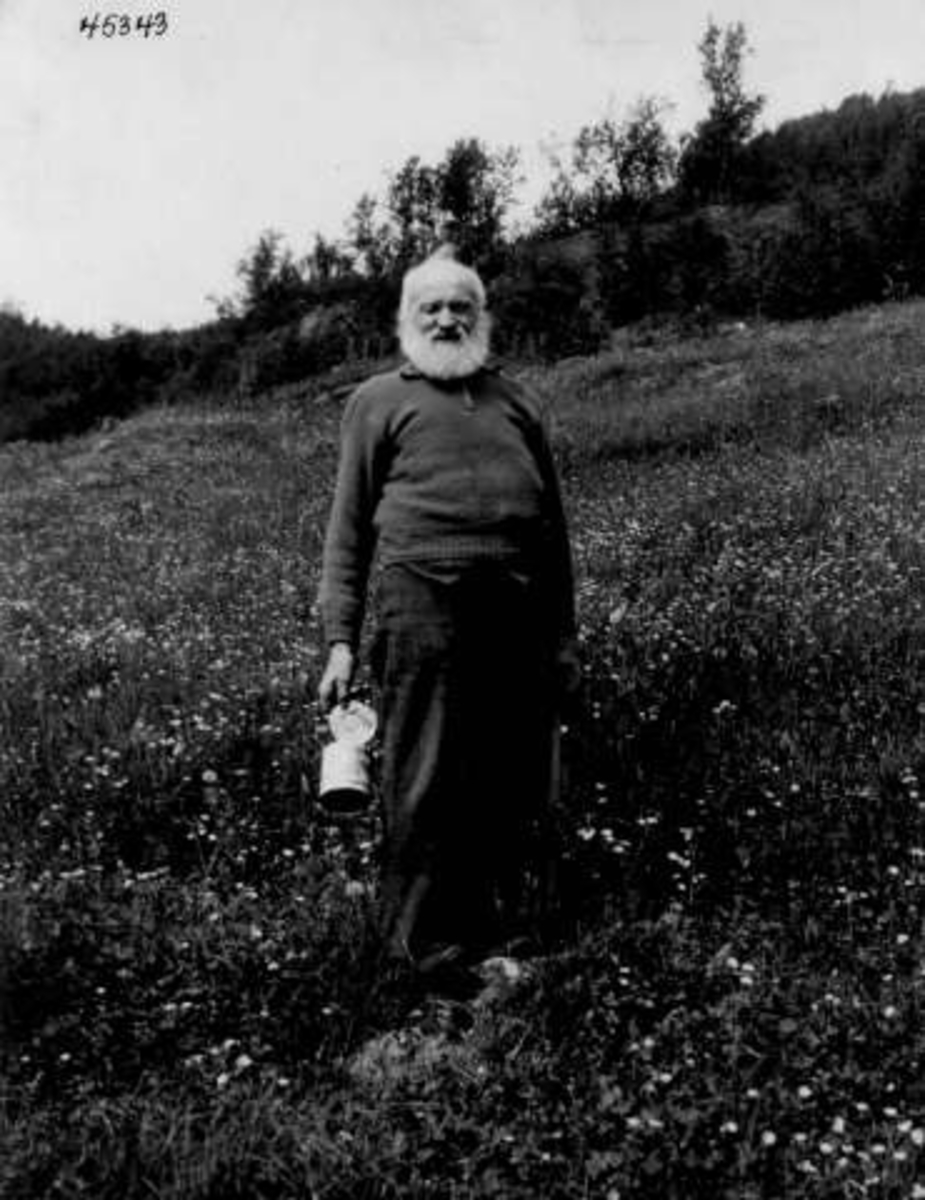 Anders Beer Wilse, Knut Bjåen, Bykle, Aust-Agder.