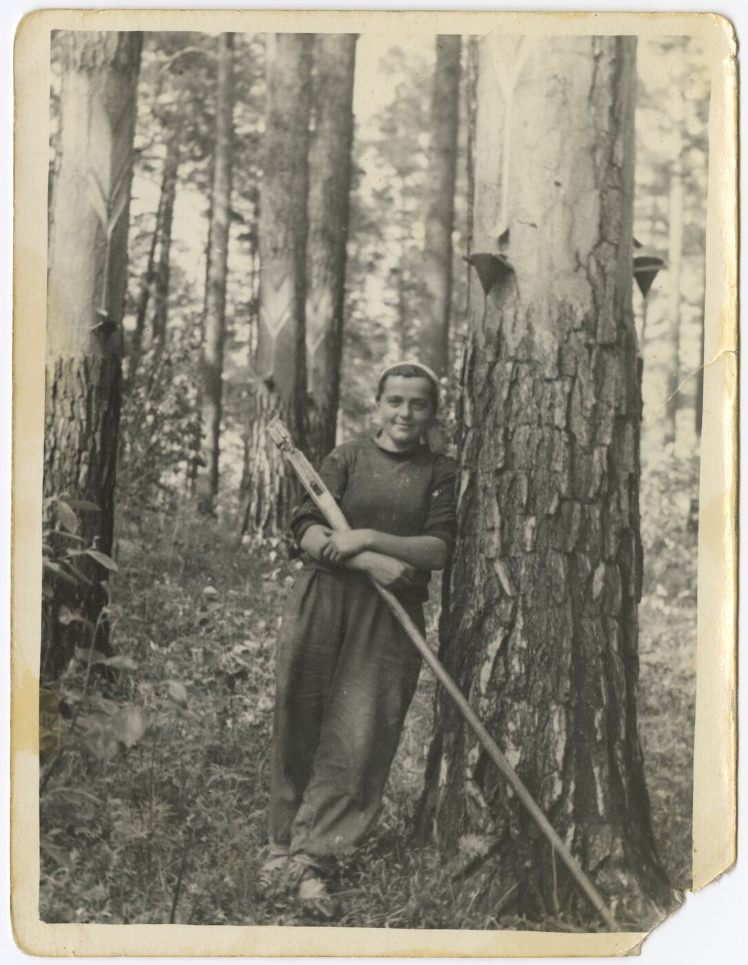 Nežinomas autorius, Adelė Sidabraitė taigoje
