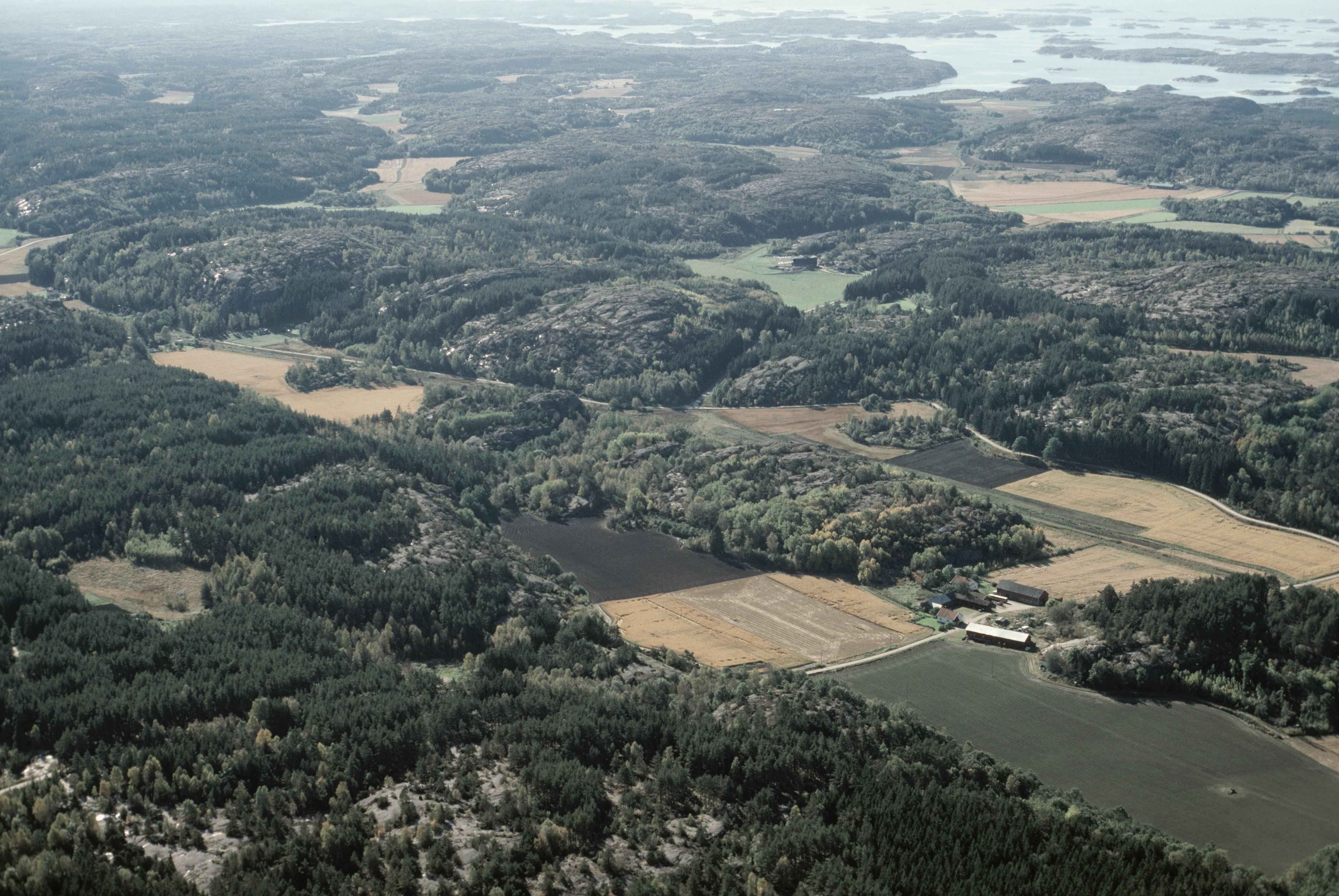 Jan Norrman, Tanum 136:1