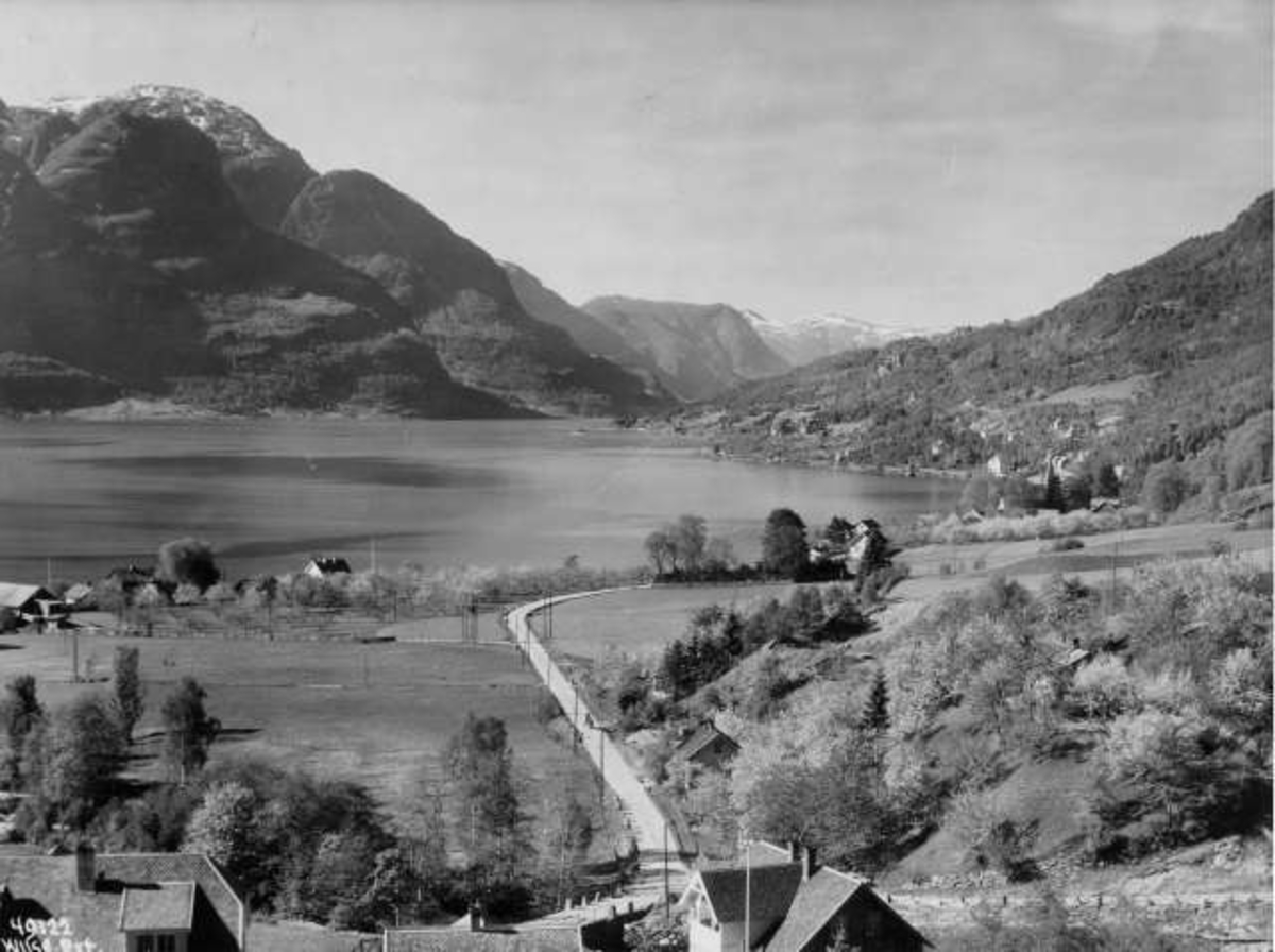 Anders Beer Wilse, -7219