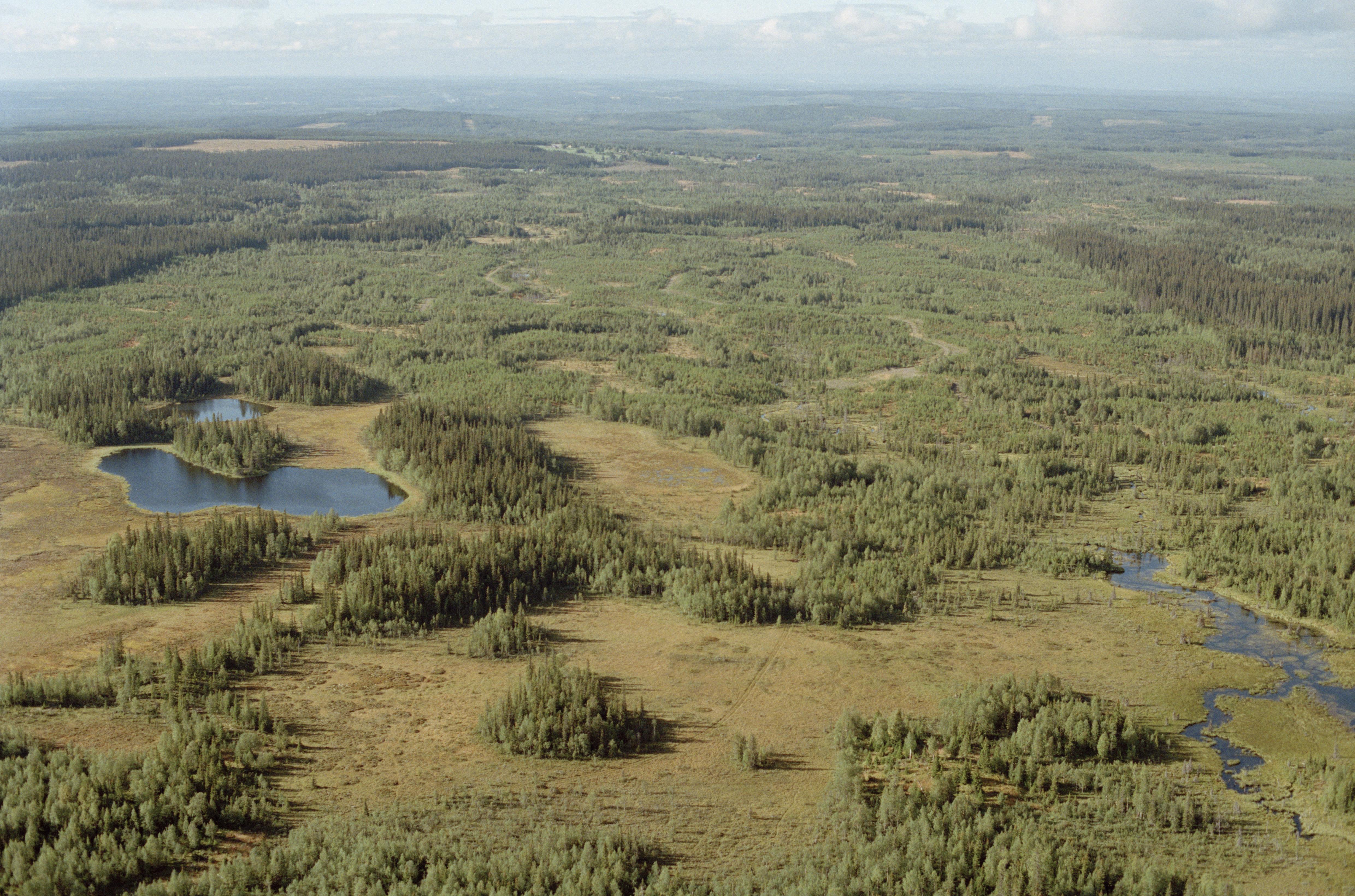 Jan Norrman, Häggenås 18:1