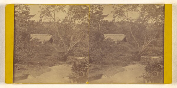 Timothy H. O'Sullivan, [Indian House on the Sassardi River. Isthmus of Darien.]