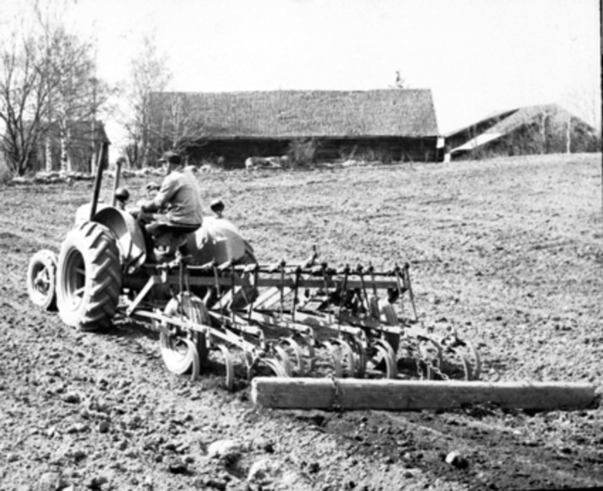 Anno Domkirkeodden, TOKSTAD GARD, VÅRONN MED TRAKTOR OG HARV