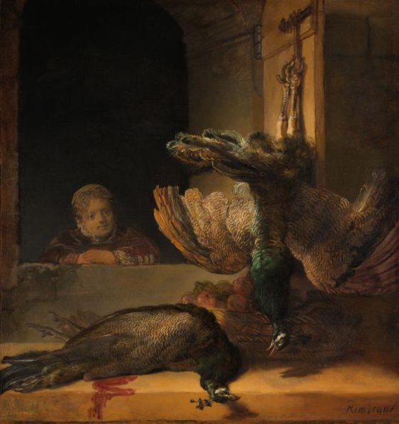 Rembrandt van Rijn, Still Life with Peacocks