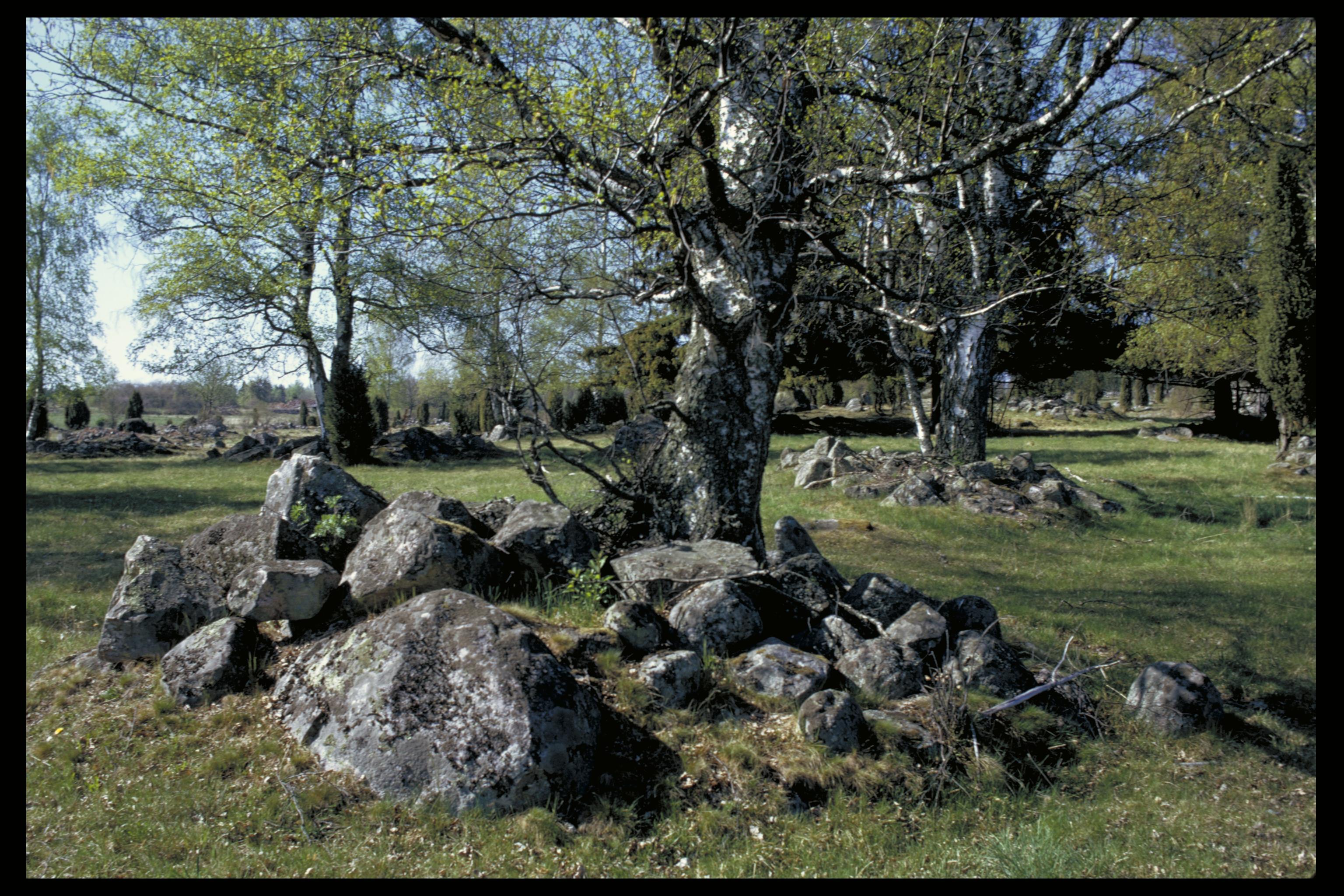 Pål-Nils Nilsson, Sickelsjö