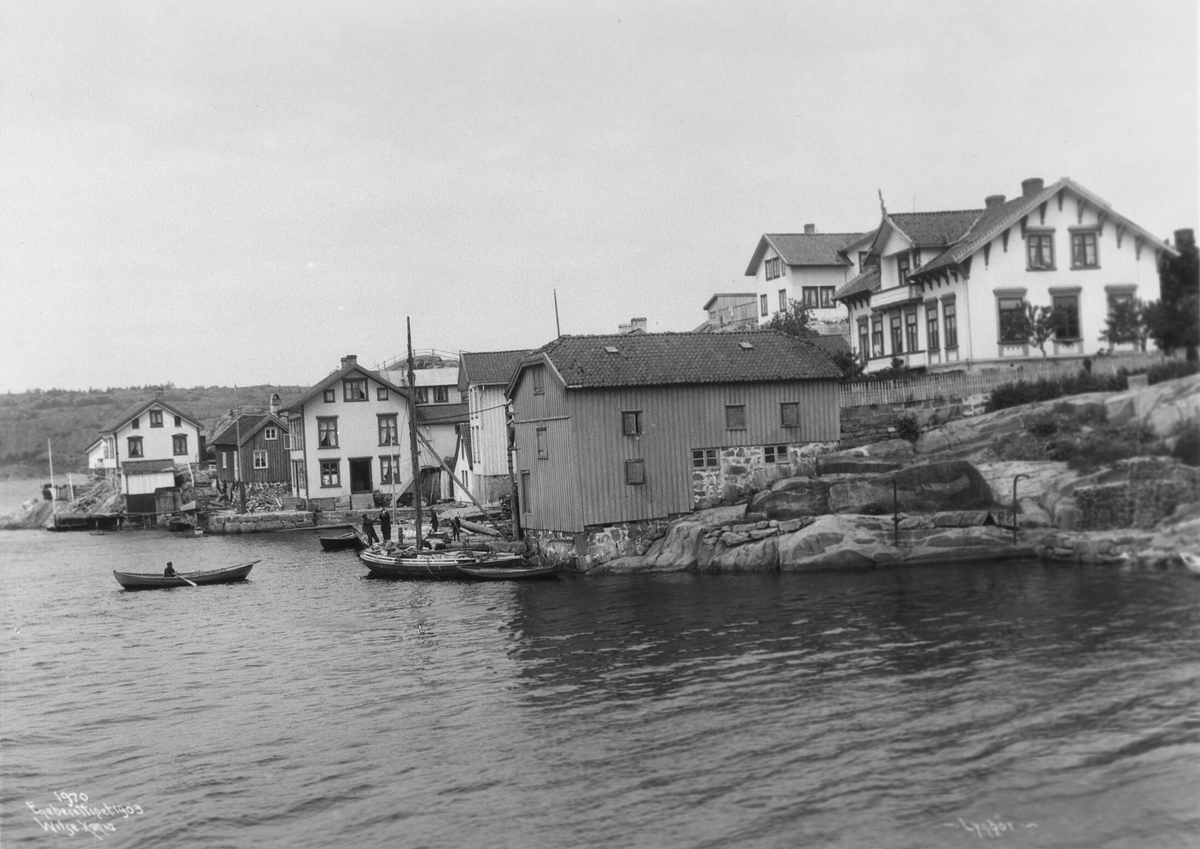 Anders Beer Wilse, Prot: Lyngør 10. Juni 1903