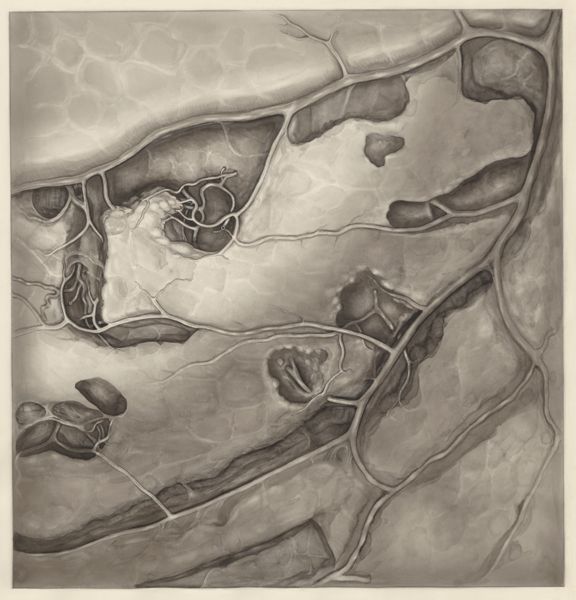 H.G Wetselaar, Vascular network of the thigh