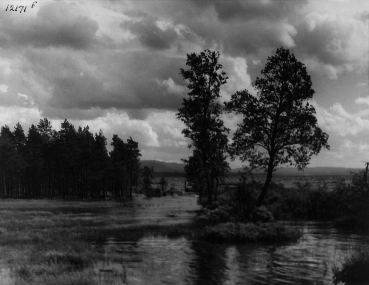 Anders Beer Wilse, Ossjoen, Landskap