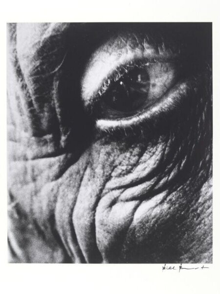 Bill Brandt, Jean Arp's Right Eye