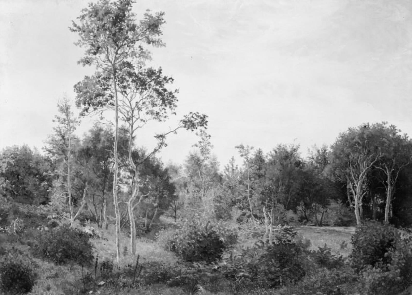 Vilhelm Kyhn, Lysning i Nordskoven ved Jægerspris