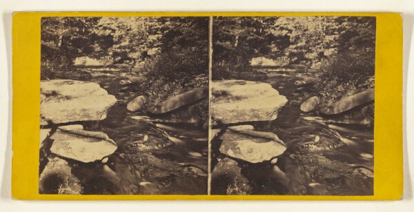 Edward and Henry T. Anthony & Co., The Glens of the Catskills. Glen Mary, at the Laurel House.