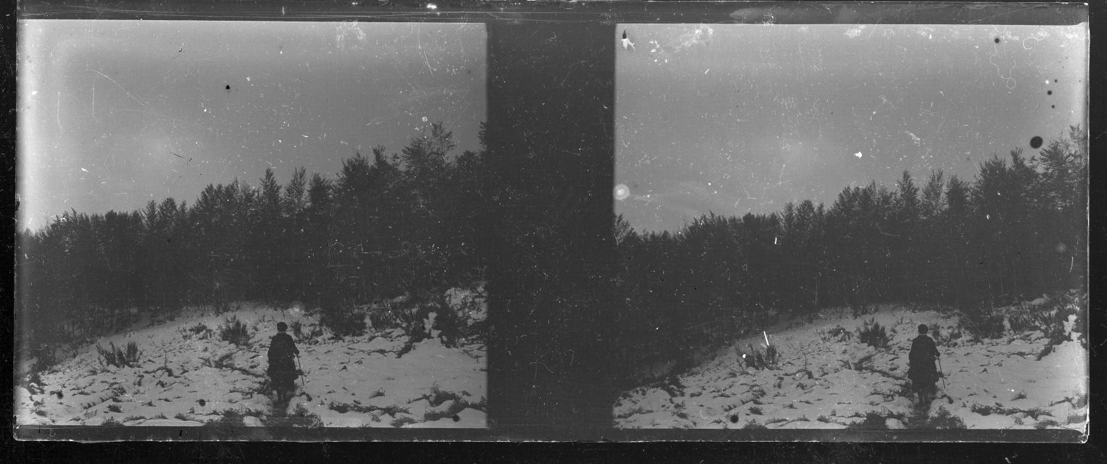 Desconegut, [Snowfall]